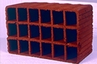 Çam Kirazı Asmolen 25 lik