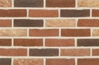Çam Kirazı T16 Fermette